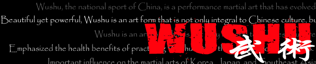 O que é o Wushu?